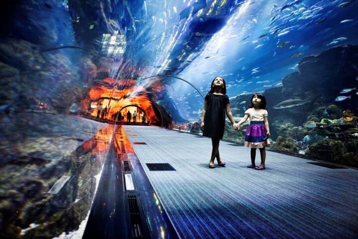 Dubai Aquarium & Underwater Zoo: Tunnel Tickets, Encounters & Visitor Guide photo 4