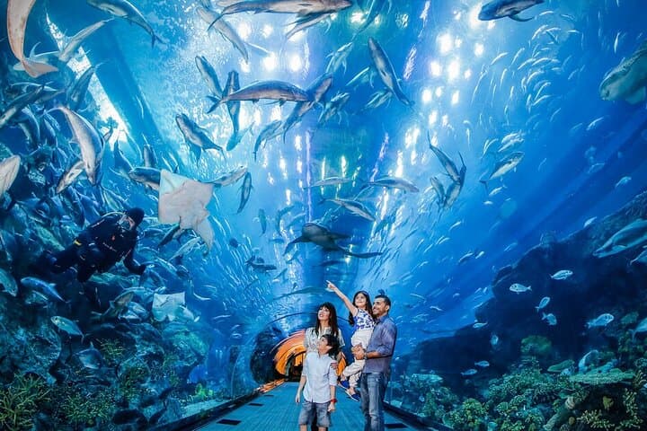 Dubai Aquarium & Underwater Zoo: Tunnel Tickets, Encounters & Visitor Guide