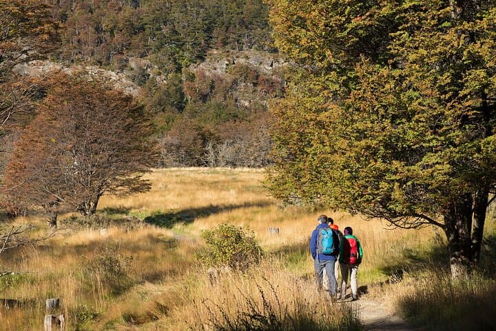 Explore Tierra del Fuego National Park: Private Guided Day Tour from Ushuaia photo 6