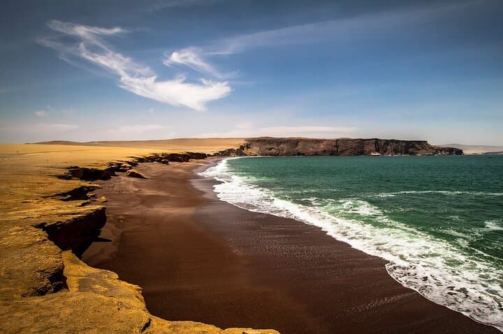 Paracas National Reserve Half-Day Tour: Beaches, Cliffs & Wildlife photo 6