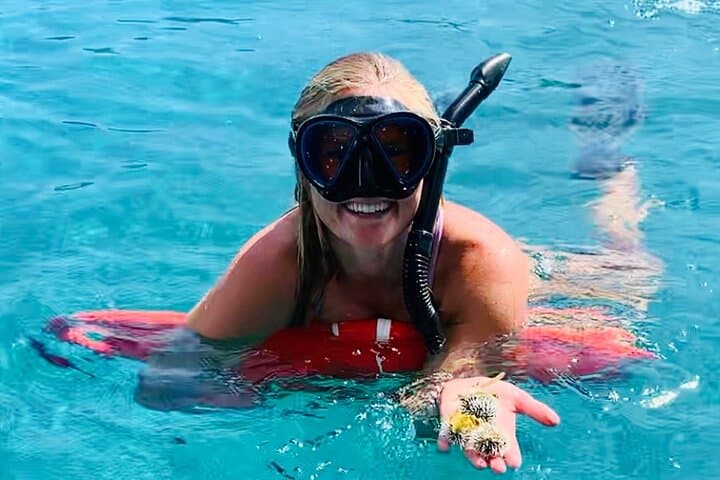 Half-Day Turtle Snorkel and Honeymoon Beach Catamaran in St. Thomas