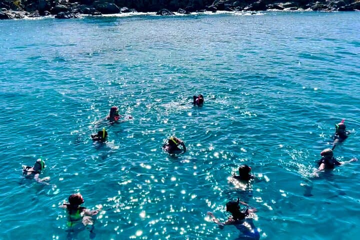 Half-Day Turtle Snorkel and Honeymoon Beach Catamaran in St. Thomas photo 4