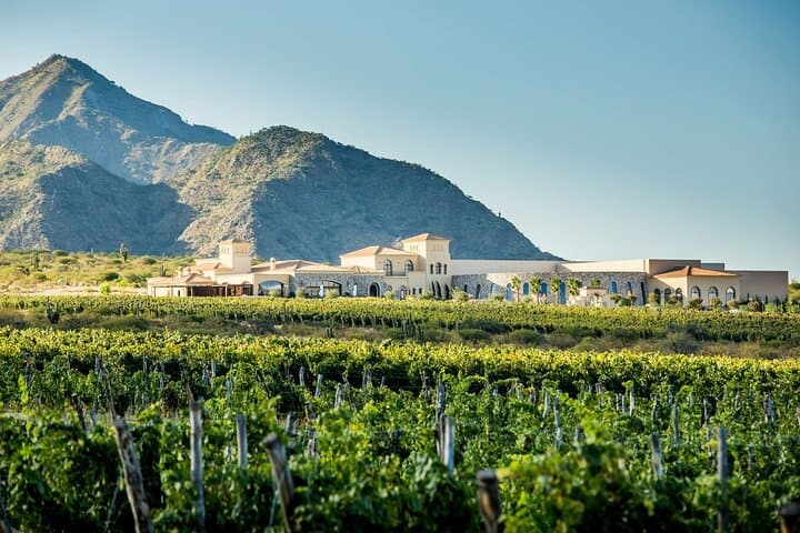 Cafayate Wine Trail: High-Altitude Vineyards and the Route 68 Gorge