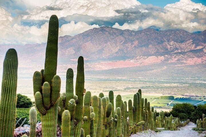 Hiking Quebrada de las Conchas from Cafayate: Garganta del Diablo, Amphitheatre & La Yesera photo 4