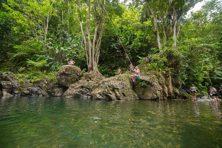 El Yunque Rainforest Waterslide & Waterfalls Small-Group Tour from San Juan photo 3