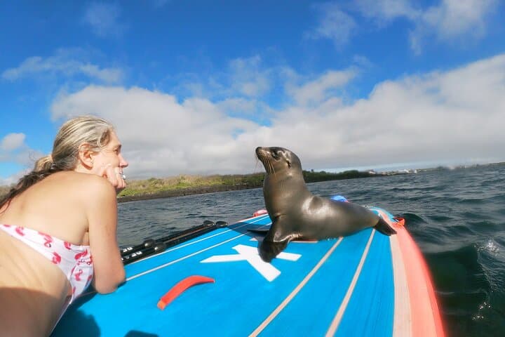 SUP in Super Bay: Paddle San Cristóbal’s Shipwreck Bay with Sea Lions photo 4