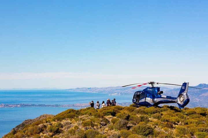 Helicopter Whale Watching in Kaikōura: Marine Biologist Tour & Crayfish Lunch photo 2