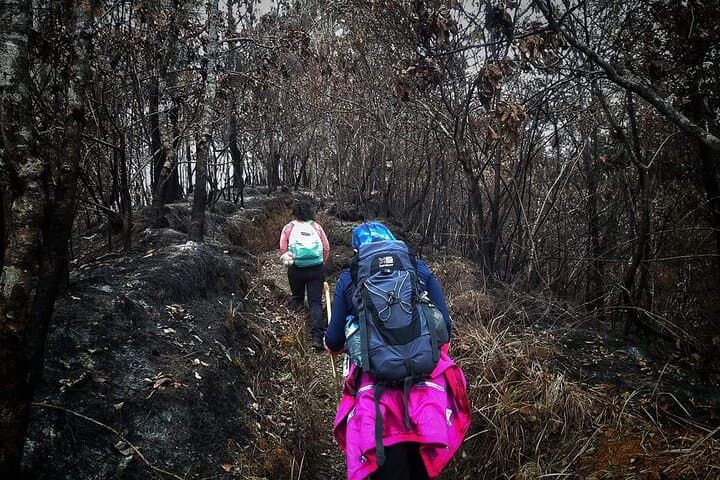 Conquer Mount Rinjani Second Summit: 2-Day Trek to Segara Anak and Crater Rim photo 6
