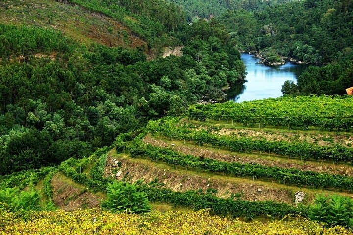 Alvarinho Wine Route: A Day in Melgaço’s Vineyards and Thermal Spa photo 3