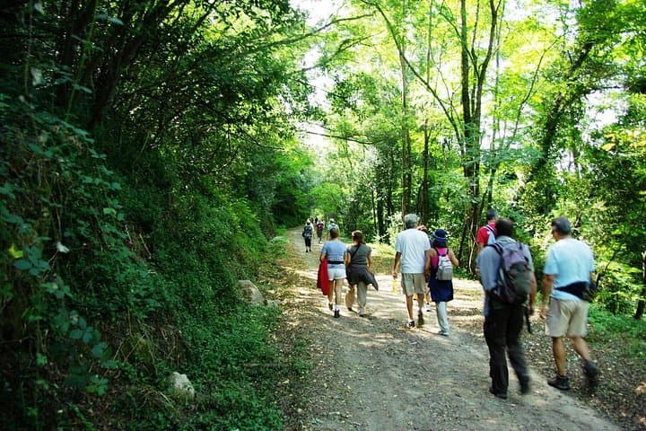 Alvarinho Wine Route: A Day in Melgaço’s Vineyards and Thermal Spa photo 5
