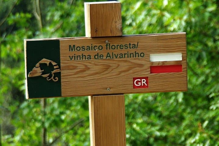 Alvarinho Wine Route: A Day in Melgaço’s Vineyards and Thermal Spa photo 6