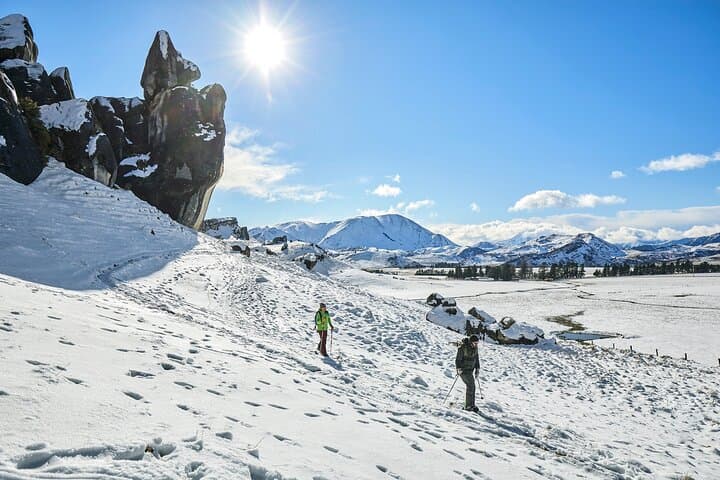 TranzAlpine to Arthur's Pass: Castle Hill & Lake Pearson Day Trip from Christchurch photo 5