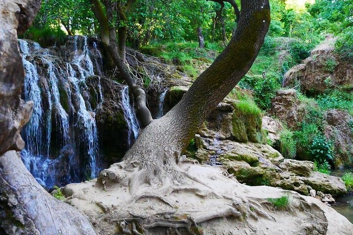 Day Trip from Fes to the Middle Atlas: Ifrane, Azrou & Cedar Forests photo 3