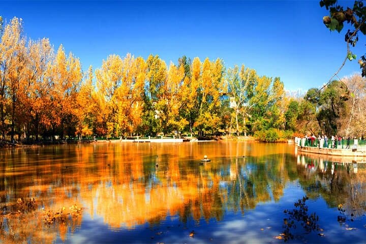 Day Trip from Fes to the Middle Atlas: Ifrane, Azrou & Cedar Forests photo 5