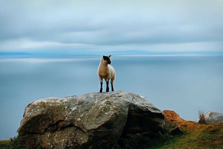 Full-Day Private Tour from Galway: Connemara, The Burren & Cliffs of Moher photo 2