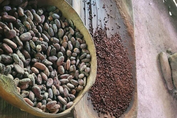 Bribri Magic: Chocolate Making and Waterfall Swim from Puerto Viejo photo 4