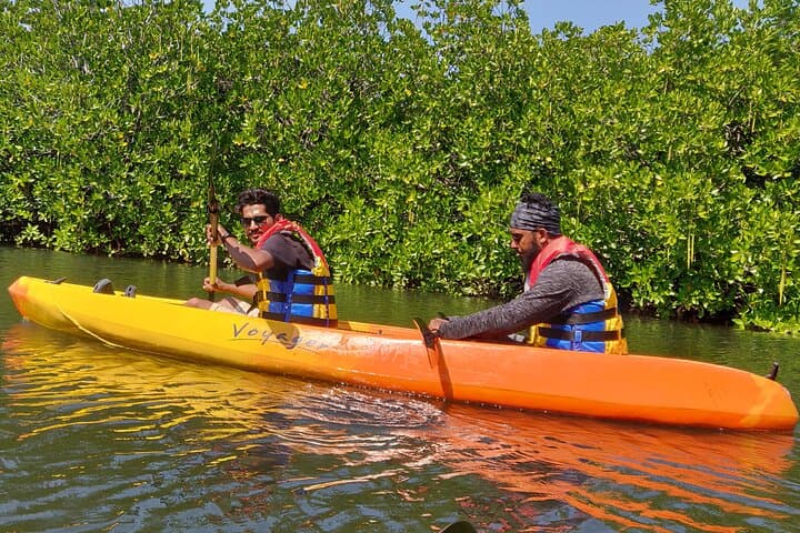 Kayak the Havelock Mangroves: Guided Kayaking & Birdwatching on Swaraj Dweep photo 3