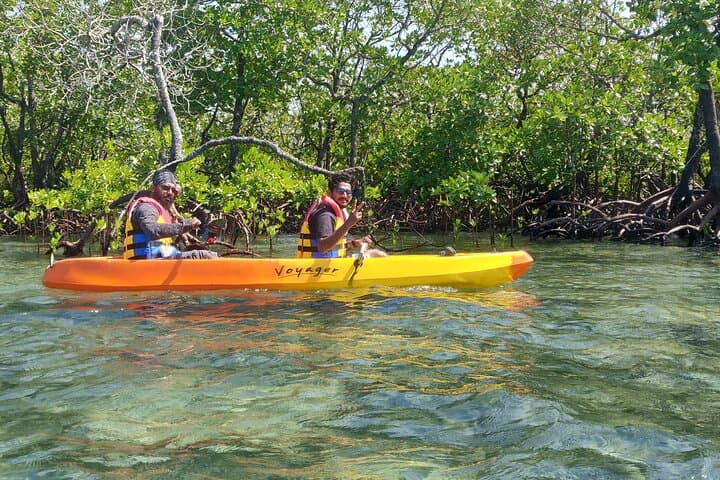 Kayak the Havelock Mangroves: Guided Kayaking & Birdwatching on Swaraj Dweep photo 4