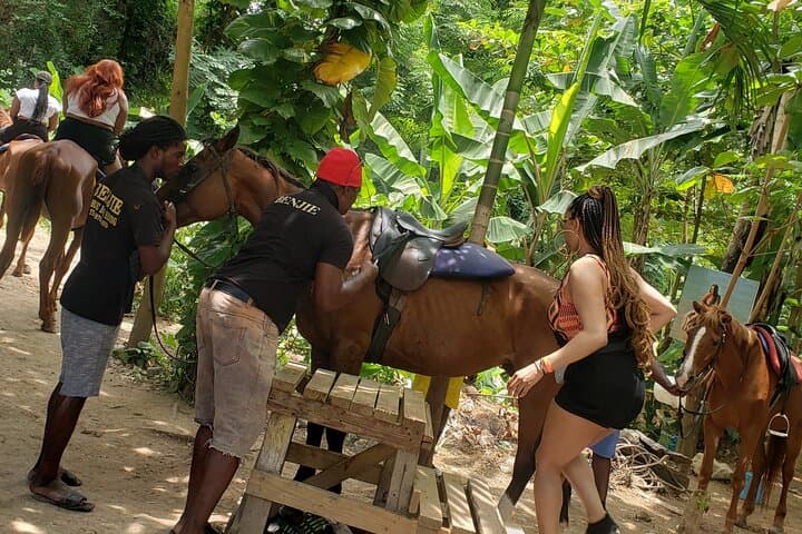Horseback Ride and Swim plus Dunn's River Falls Day Trip from Montego Bay photo 3