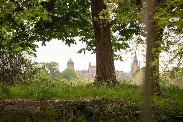 Oxford River Cruise Along the University Regatta Course — 45-Minute Sightseeing from Folly Bridge photo 3