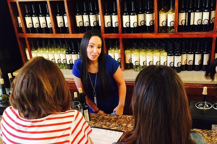 Half-Day Hill Country Wine Shuttle from Austin — Scenic Hill Country Winery Tastings photo 4