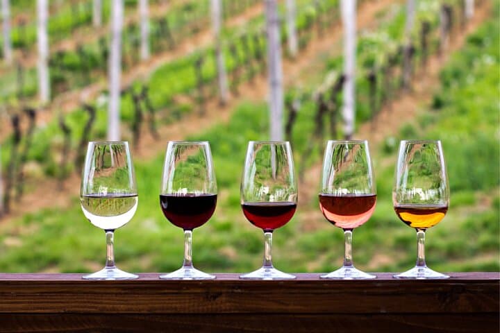 Half-Day Hill Country Wine Shuttle from Austin — Scenic Hill Country Winery Tastings photo 1