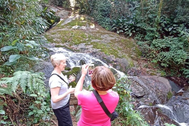 Atlantic Forest Ecological Walk Near Sao Paulo: Waterfalls, Orchids & City Views photo 3