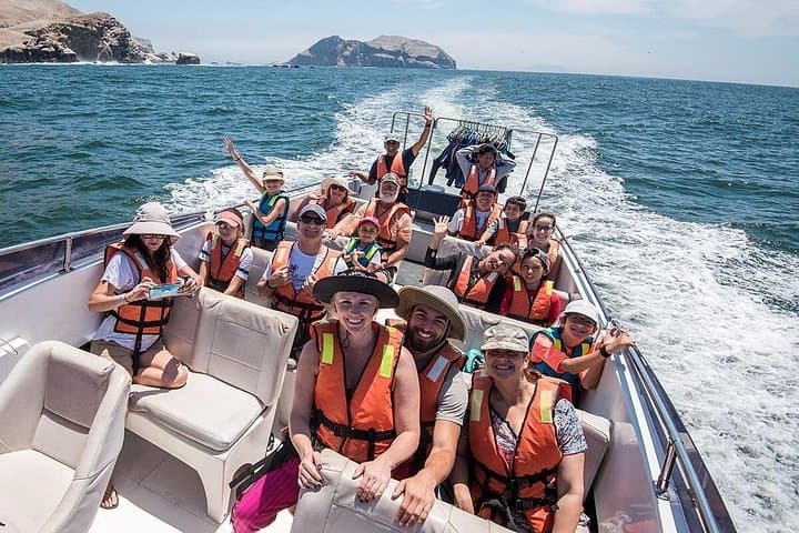 Swim with Sea Lions at Palomino Islands — Lima’s Wild Marine Encounter photo 1