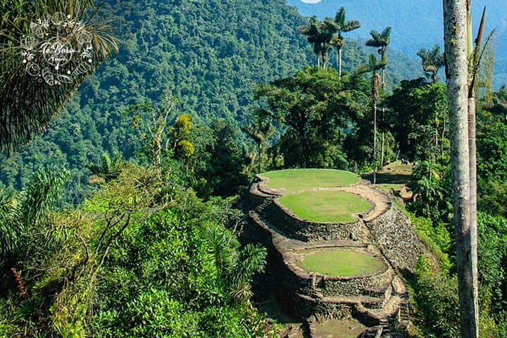Ciudad Perdida (Teyuna) 4-Day Trek: Lost City Hike from Santa Marta