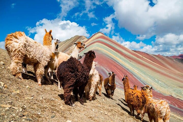 One-Day Vinicunca Rainbow Mountain Trek from Cusco — What to Expect & How to Prepare
