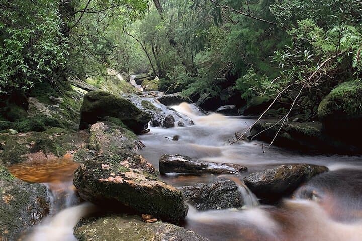 Tasmania Wilderness and Whiskey Walks: 4-Day Private Bruny & Tasman Peninsula Adventure