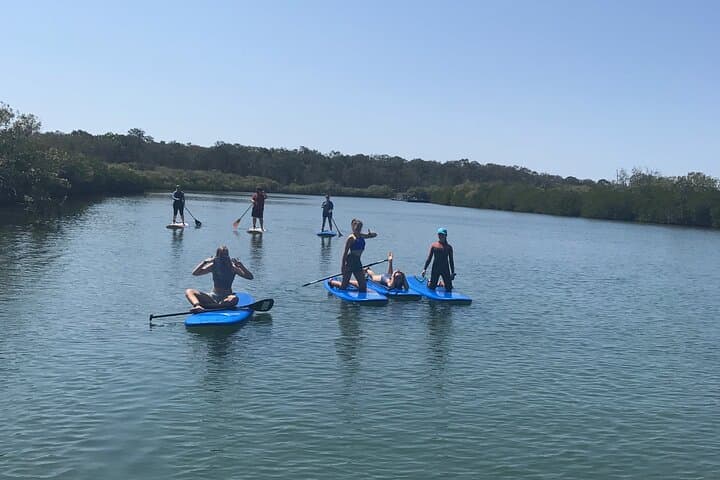 Noosa Stand Up Paddle Group Lesson on the Noosa River — Beginner-Friendly Eco Tour photo 4