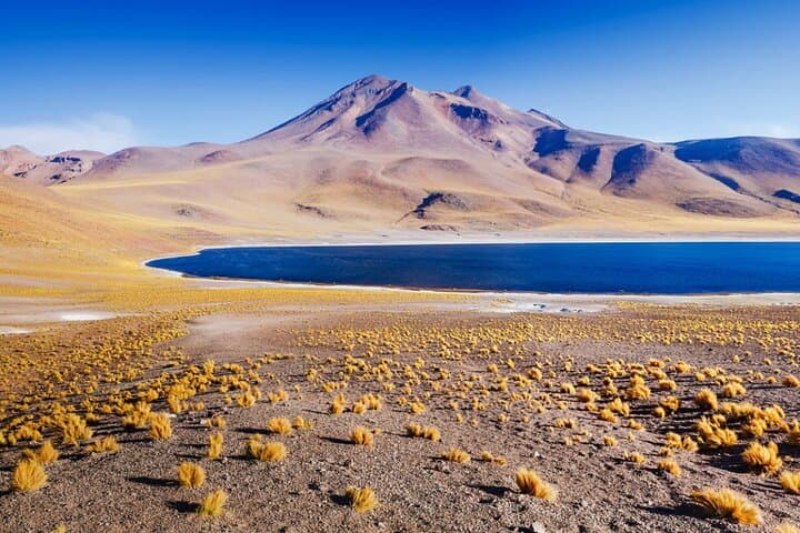 Altiplanic Lagoons & Piedras Rojas: High-Plateau Lagoons, Flamingos and Salt Flats