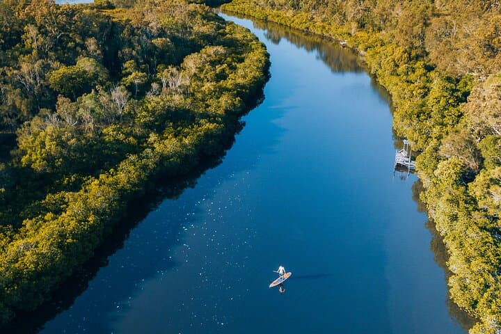 Noosa Stand Up Paddle Group Lesson on the Noosa River — Beginner-Friendly Eco Tour photo 3