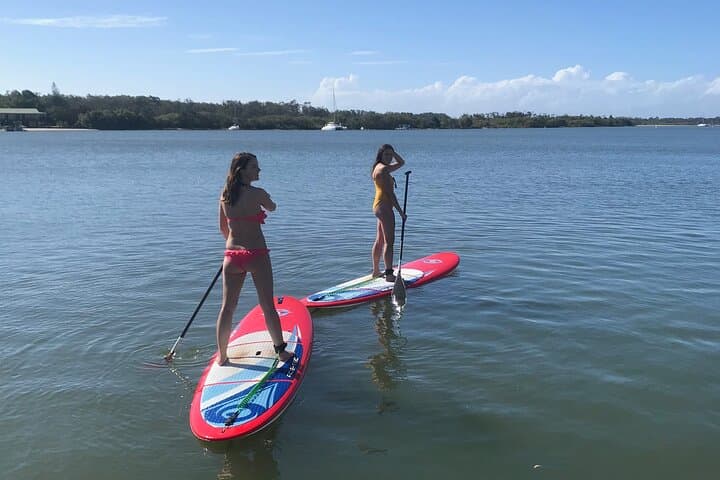 Noosa Stand Up Paddle Group Lesson on the Noosa River — Beginner-Friendly Eco Tour photo 2