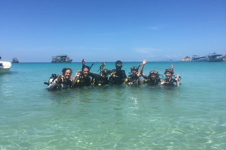 Try Scuba Diving on Koh Tao: One-Day Beginner Dive to 12m
