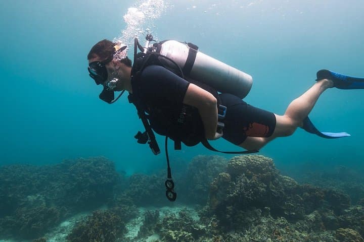Try Scuba Diving on Koh Tao: One-Day Beginner Dive to 12m photo 5