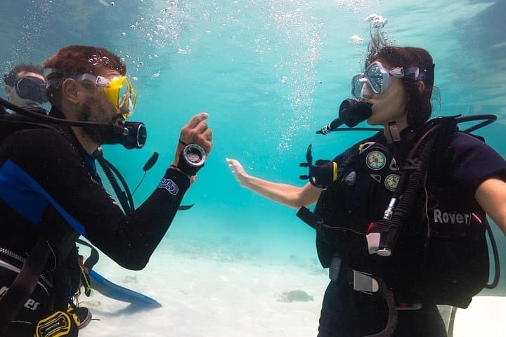 Learn to Scuba Dive in Koh Tao: 4-Day Open Water Course with La Bombona photo 3