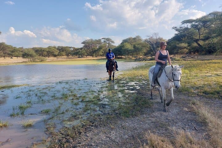 Maun Horse Riding Safari — Guided Horseback Game Ride Outside Maun, Botswana photo 2