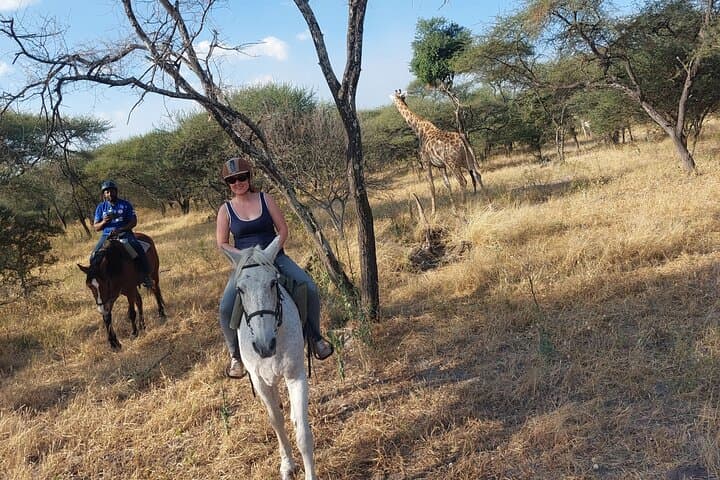 Maun Horse Riding Safari — Guided Horseback Game Ride Outside Maun, Botswana photo 1