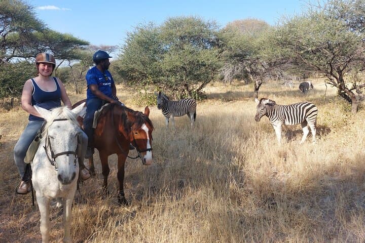 Maun Horse Riding Safari — Guided Horseback Game Ride Outside Maun, Botswana photo 3