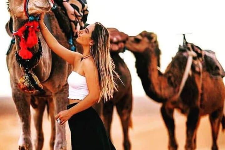 Sleep Under Sahara Stars: Overnight Camel Trek & Luxury Camp in Merzouga photo 3