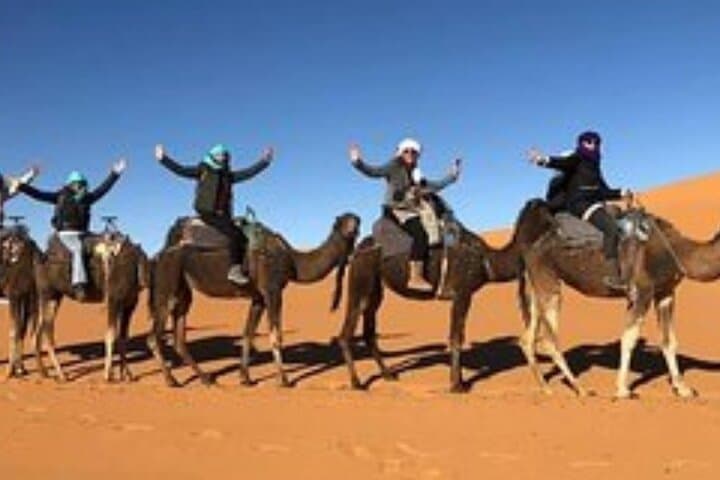 Sleep Under Sahara Stars: Overnight Camel Trek & Luxury Camp in Merzouga photo 6