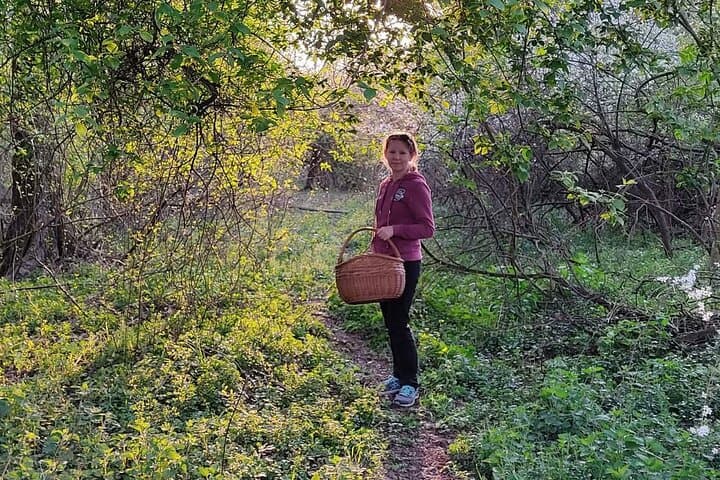 Foraging Walk & Wild-Food Workshop near Warsaw — Herbal Walk in the Kampinos Area