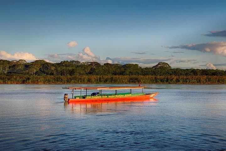 4-Day Tambopata Rainforest Adventure — Puerto Maldonado Jungle Tour photo 3