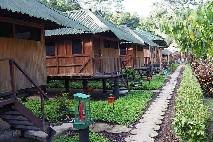 4-Day Tambopata Rainforest Adventure — Puerto Maldonado Jungle Tour photo 2