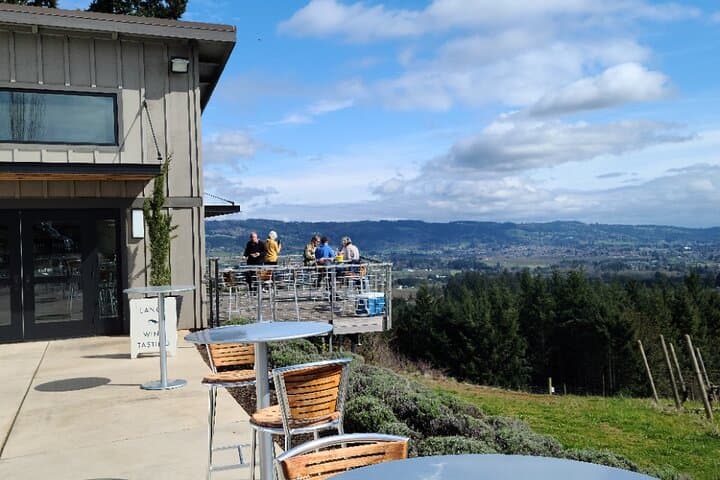 Private Willamette Valley Wine Tour: Custom Tastings & Vineyard Picnic