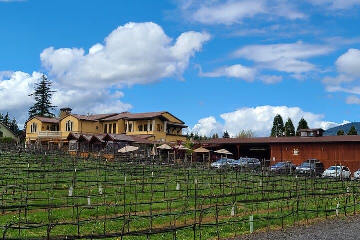 Private Willamette Valley Wine Tour: Custom Tastings & Vineyard Picnic photo 2