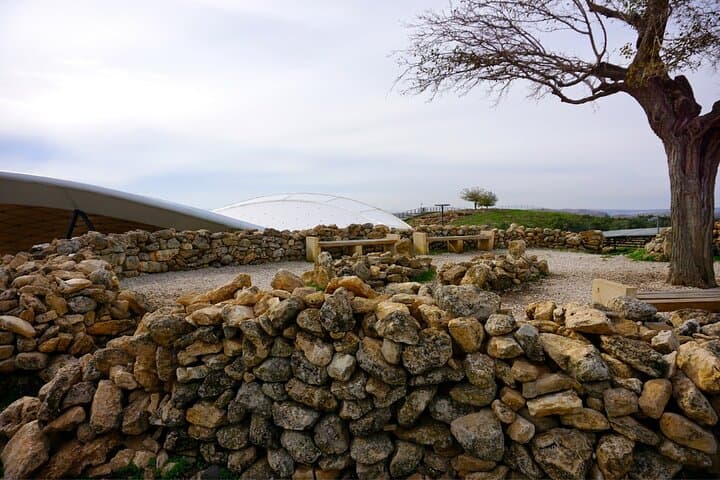 Private Göbeklitepe Day Tour from Istanbul — Fly to Göbeklitepe and Harran photo 2