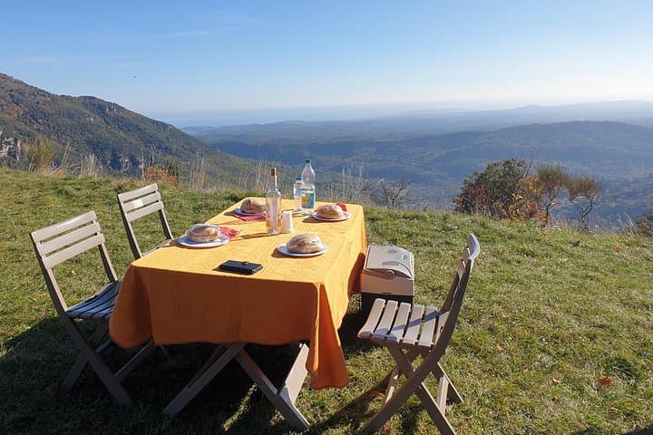 Coastal Markets, Gourdon Views and the Gorges du Loup: An 8‑Hour Provence Day Tour photo 2